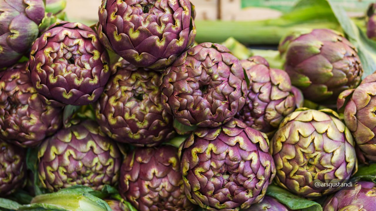 Carciofo Romanesco del Lazio IGP
